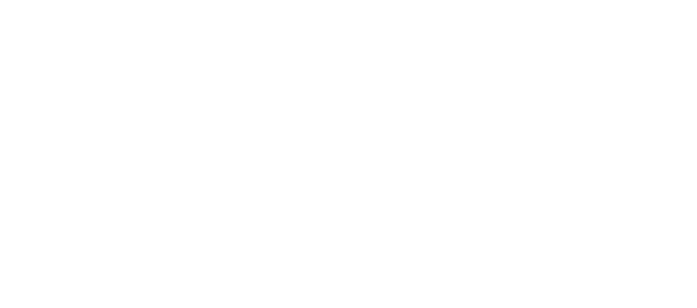 Logo cliente aels