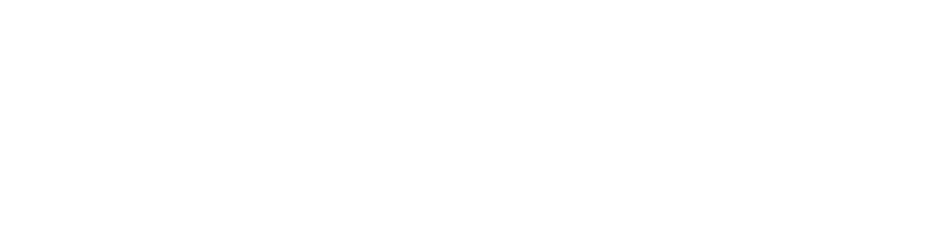 Logo cliente anima
