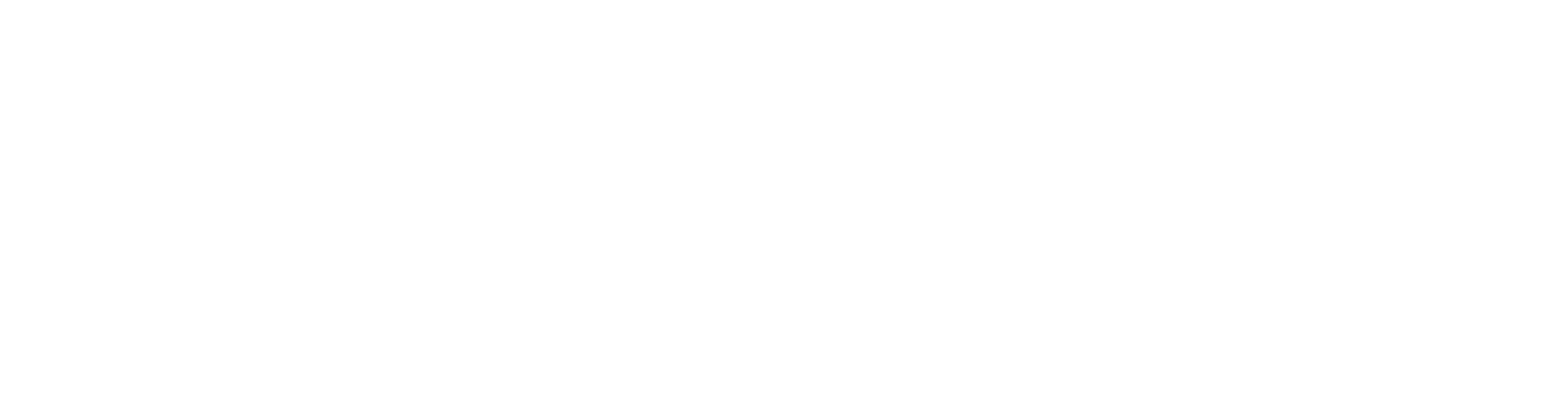 Logo cliente capasso
