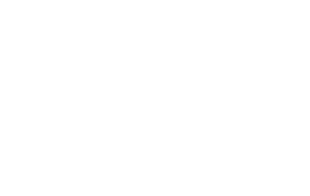 Logo cliente fiorentini21