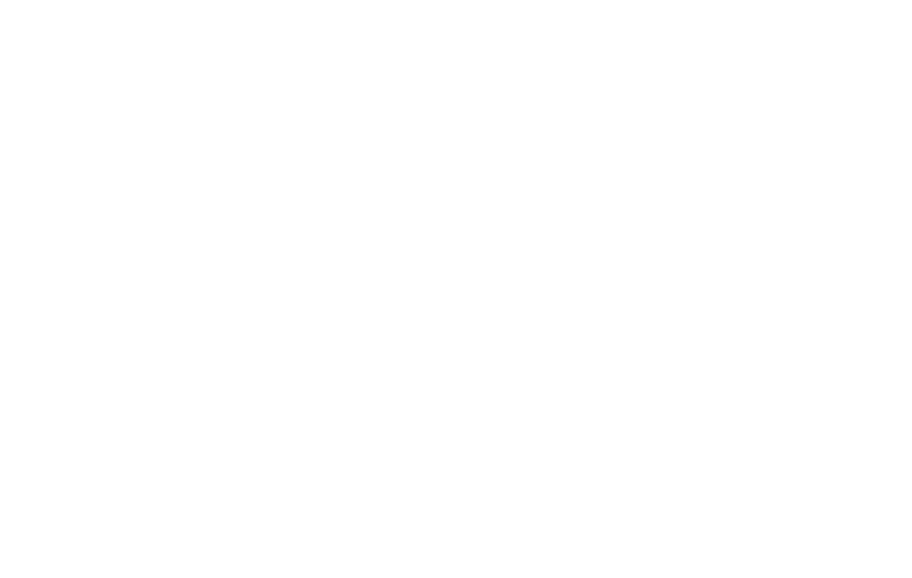 Logo cliente fiorentini21