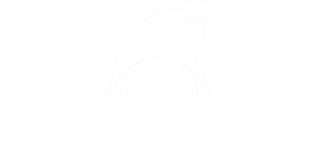 Logo cliente rivetti